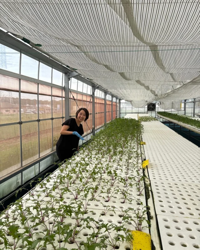 スマートブルー茅ケ崎農場視察🥬

静岡県にあるスマートブルー株式会社が、農地の利活用を希望する茅ヶ崎市内の農家さんと繋がり、モデル事業として始まったハウス型ソーラーシェアリング☀️

米不足を機に、農業などの一次産業への危機感が増しています🥔🥕🧅
様々課題はありますが、湘南のような都市型農業では特に可能性を感じる内容でした🤔

米も野菜も収穫量を増やすことは、時間もかかりますし容易ではありません。
政治も行政も私達も、手遅れになる前に本気で向き合っていかなければなりません。
農業・農家さんを守るために、企業や事業者とも連携できる、柔軟な農業政策や販路の仕組みが必要だと考えます🥬

視察をコーディネートしてくださった、阿部ともこ衆議院議員と阿部ともこ事務所の皆様、ありがとうございました😊

#農業
#ソーラーシェアリング 
#スマートブルー株式会社 

#ソーシャルワーカー
#福祉のプロフェッショナル
#人と福祉と地域をつなぐ
#神奈川県議会 #茅ヶ崎市
#県政にチャレンジ　#平野みぎわ